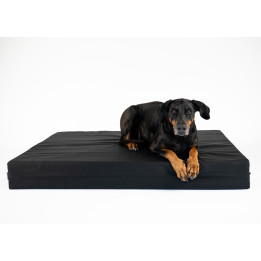 Orthopädisches Flat Hundebett | Cordura® Bezug | Snoozeluxe