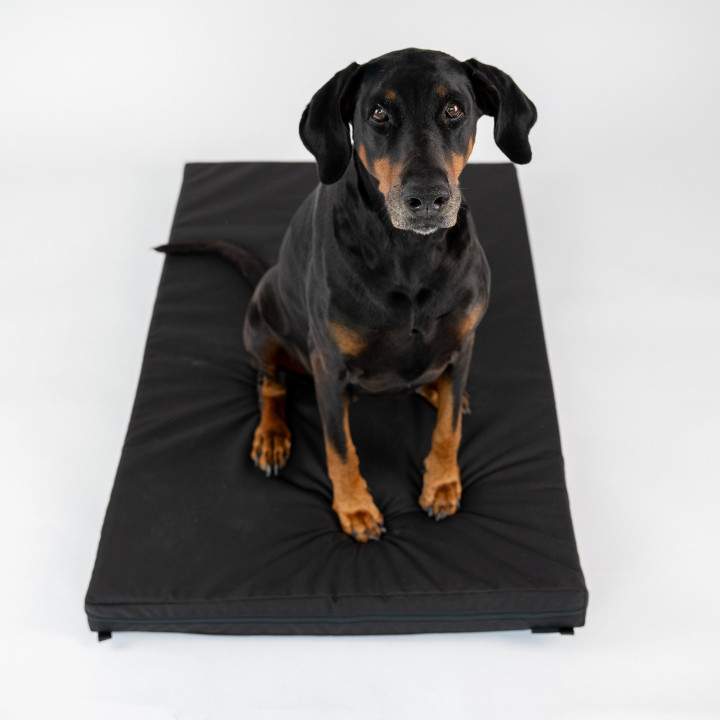 Orthopaedic Crate Dog Bed | Cordura® Cover | Snoozeluxe