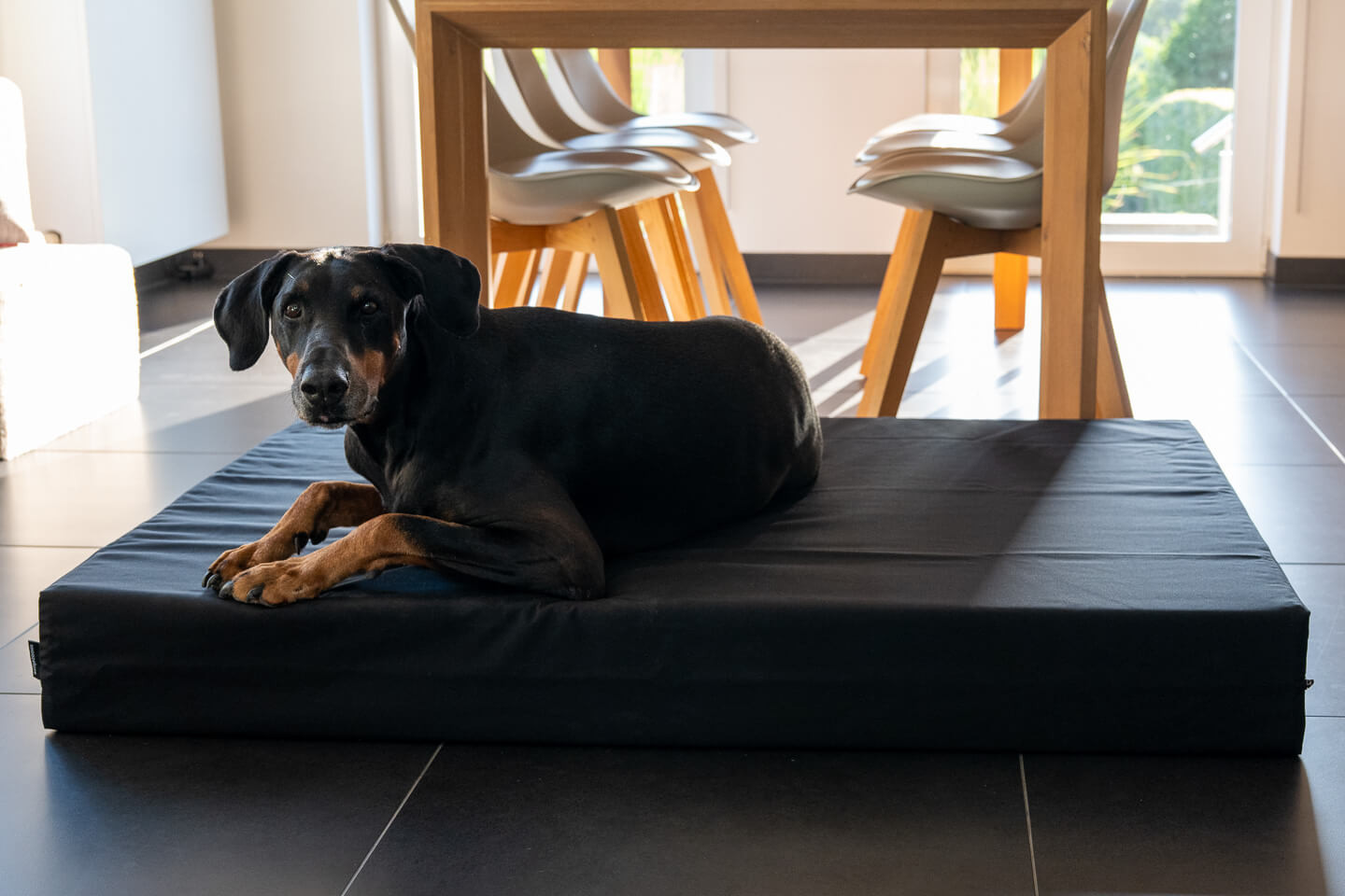 A dog bed that doesn't sag.